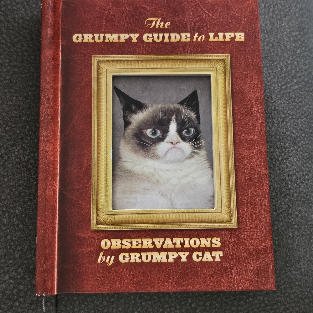 The Grumpy Guide to Life by Grumpy Cat - Observations By Grumpy Cat